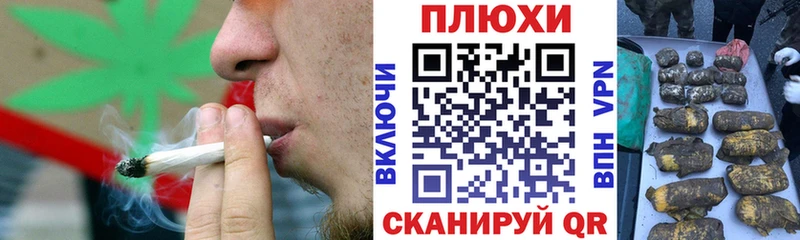 как найти   Киреевск  ГАШ Premium 