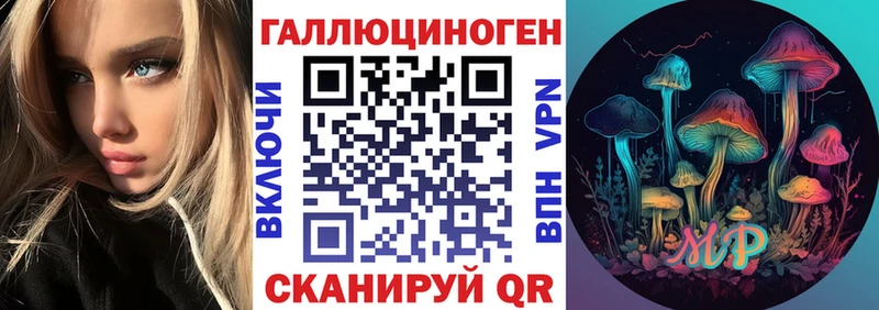 где купить наркоту  Киреевск  Галлюциногенные грибы Psilocybe 