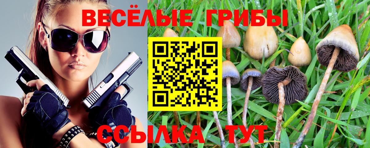 Киреевск  Галлюциногенные грибы Psilocybine cubensis  сколько стоит  Вход с VPN 