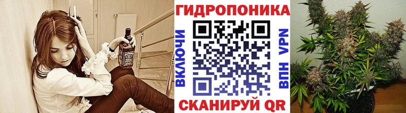 Бошки марихуана индика  ссылка на мегу ONION  Киреевск 